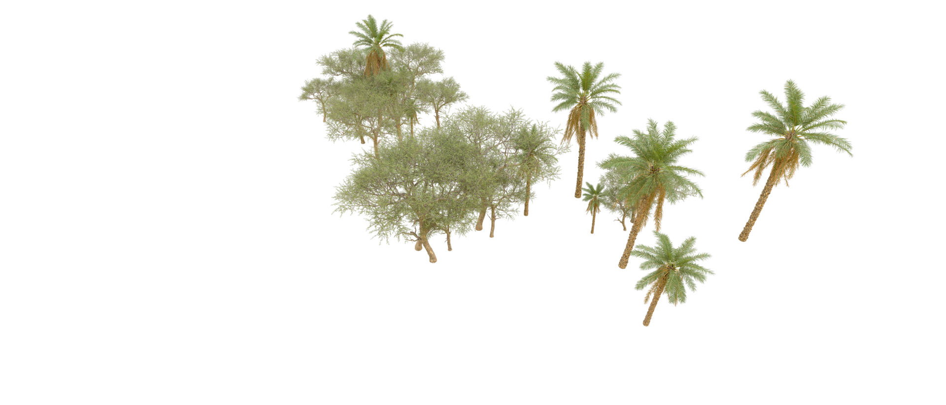 Green forest isolated on background. 3d rendering - illustration png