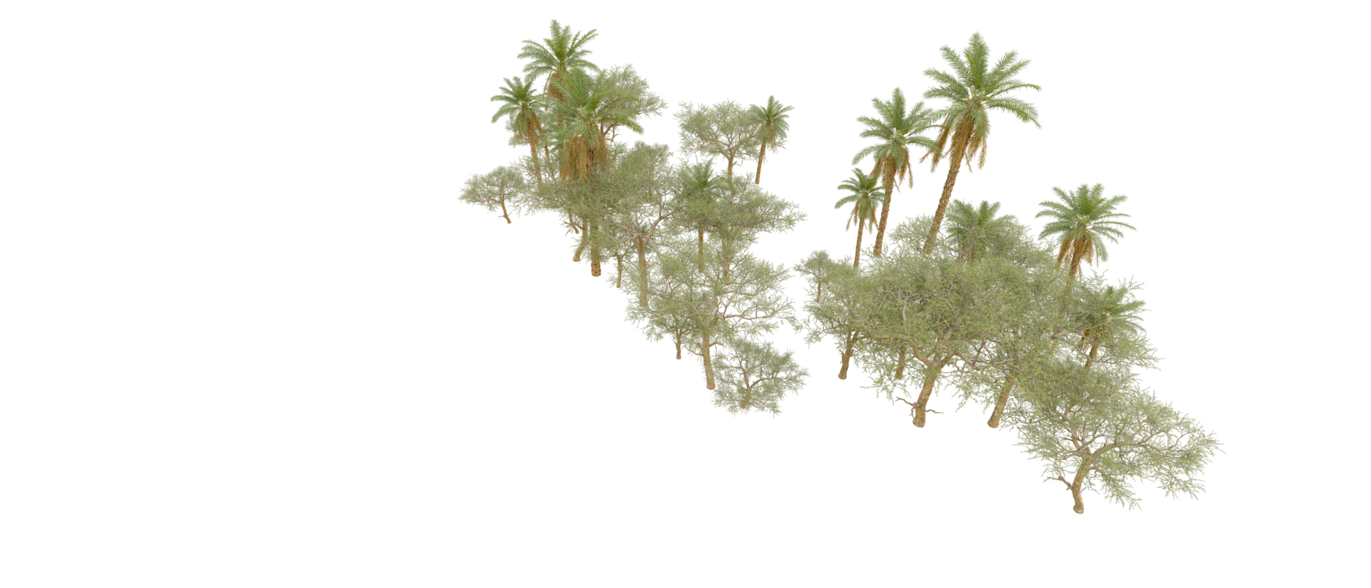 Green forest isolated on background. 3d rendering - illustration png