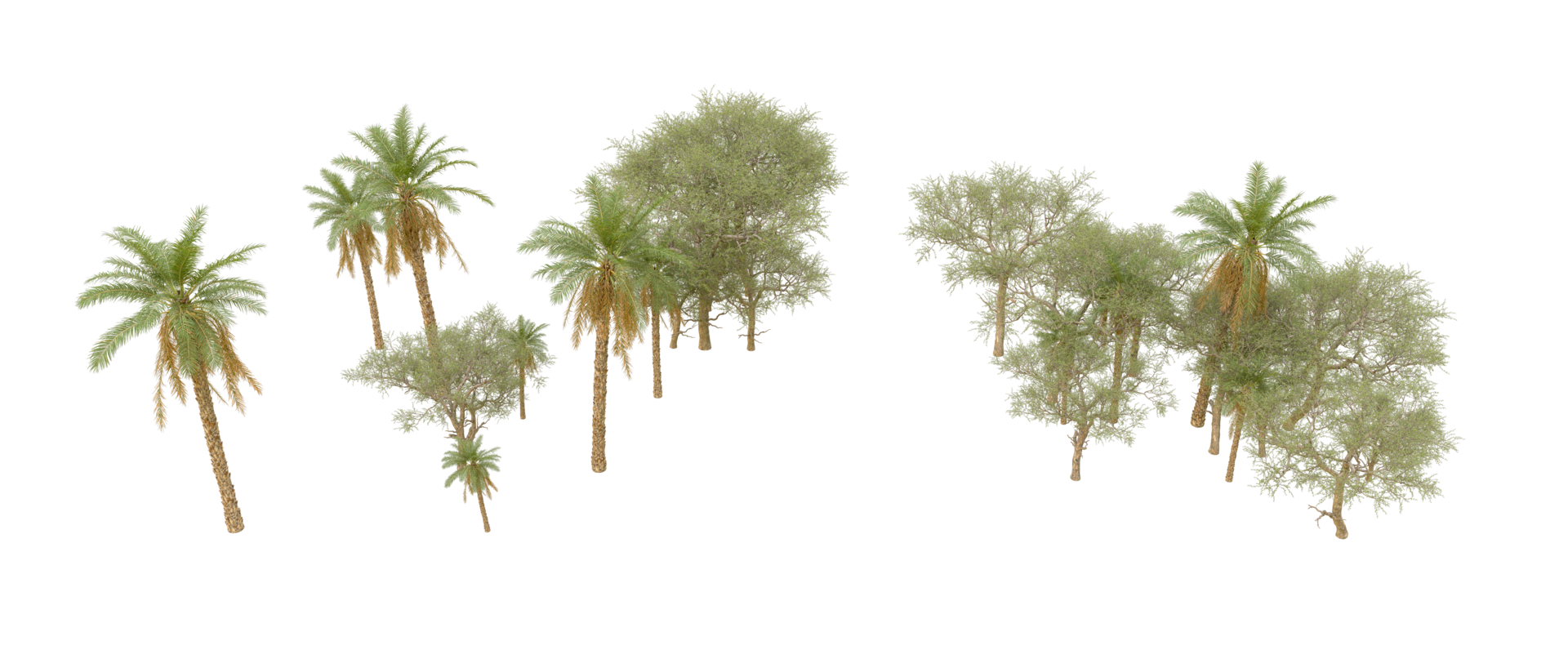 Green forest isolated on background. 3d rendering - illustration png