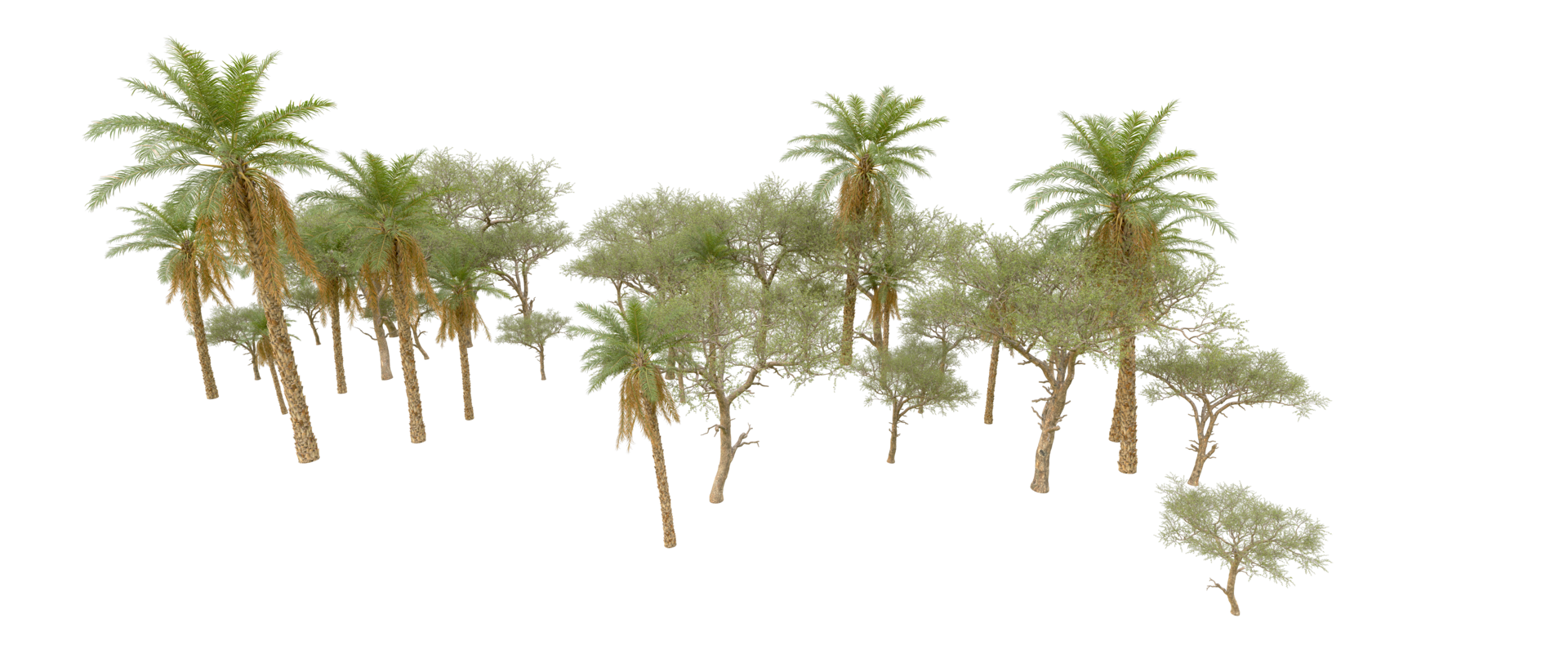 Green forest isolated on background. 3d rendering - illustration png