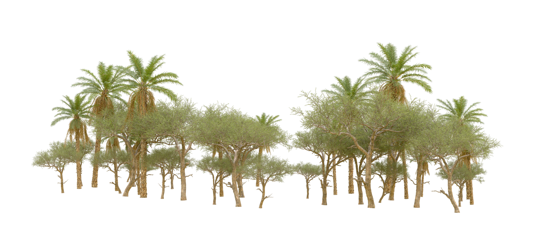 Green forest isolated on background. 3d rendering - illustration png