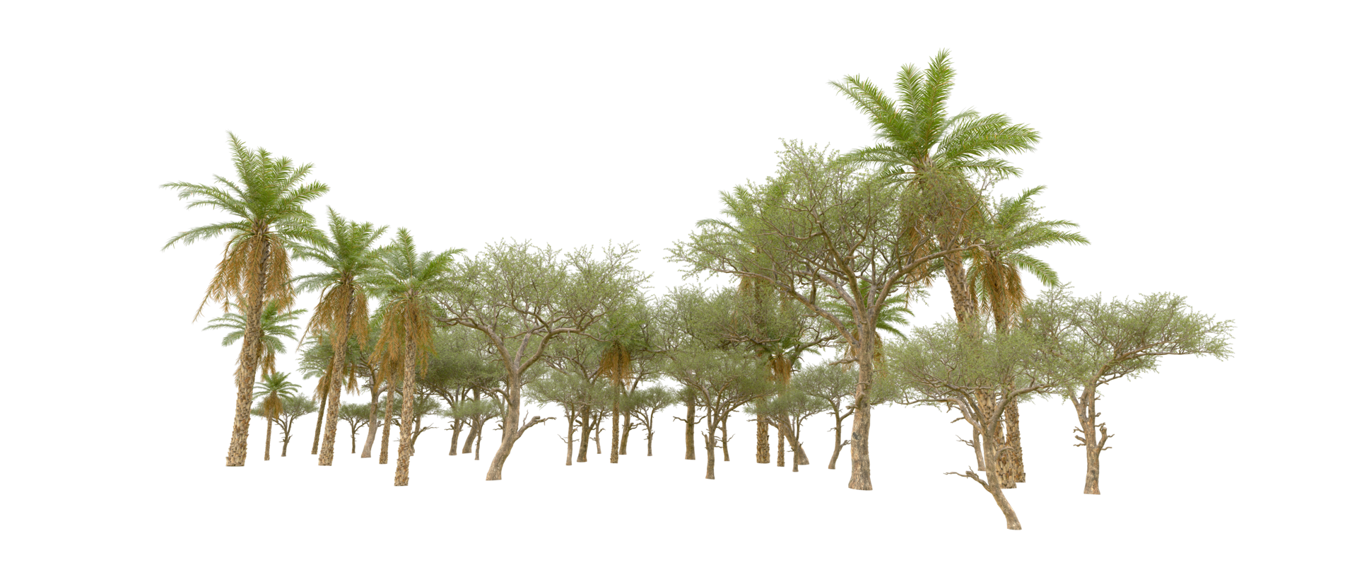 Green forest isolated on background. 3d rendering - illustration png