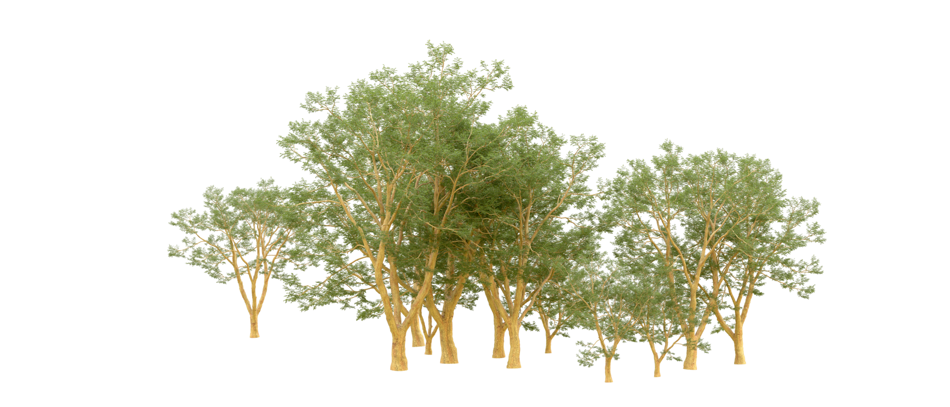 Green forest isolated on background. 3d rendering - illustration png