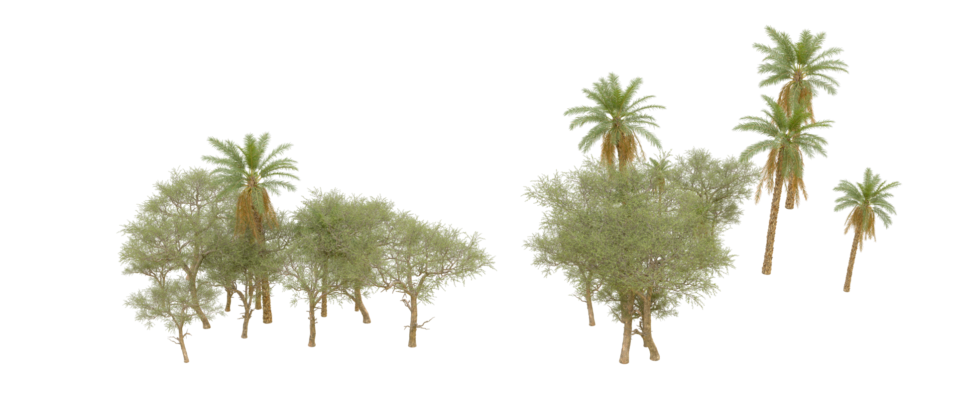 Green forest isolated on background. 3d rendering - illustration png