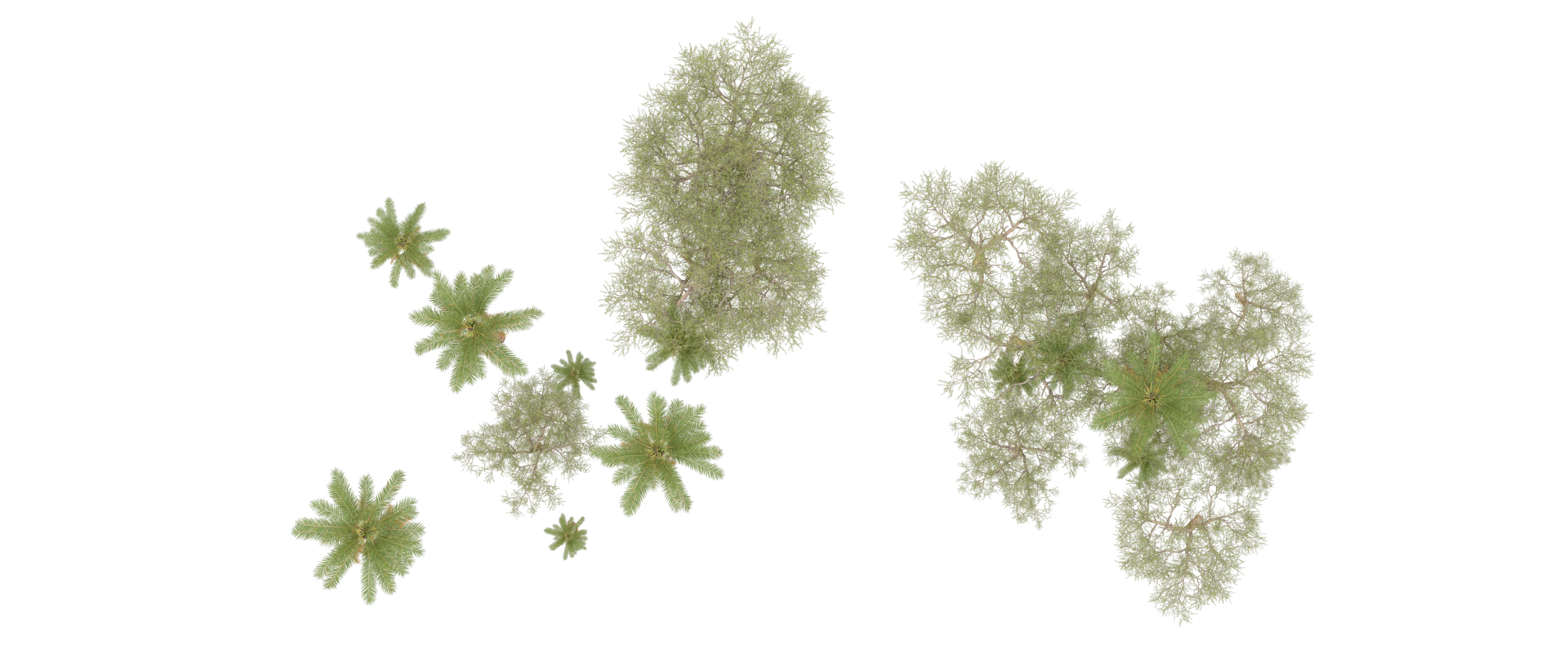 Green forest isolated on background. 3d rendering - illustration png