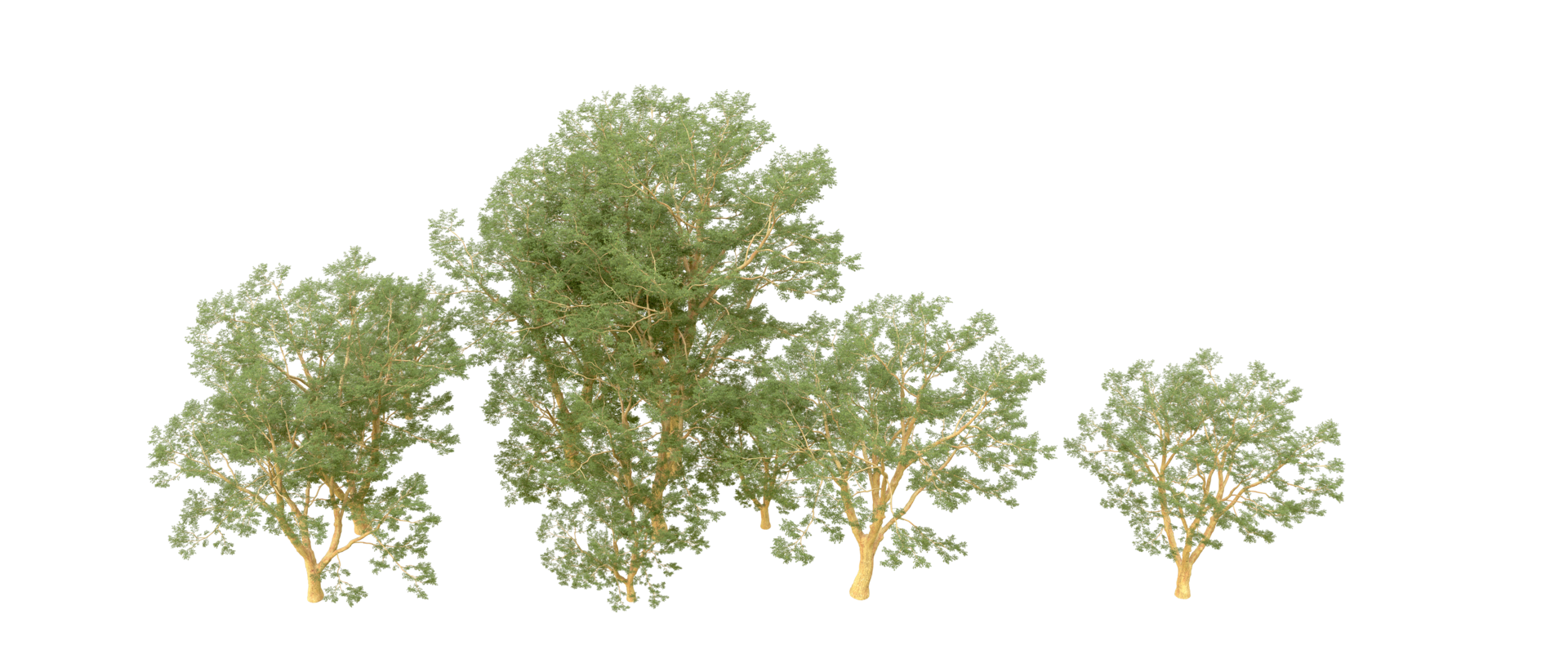 Green forest isolated on background. 3d rendering - illustration png