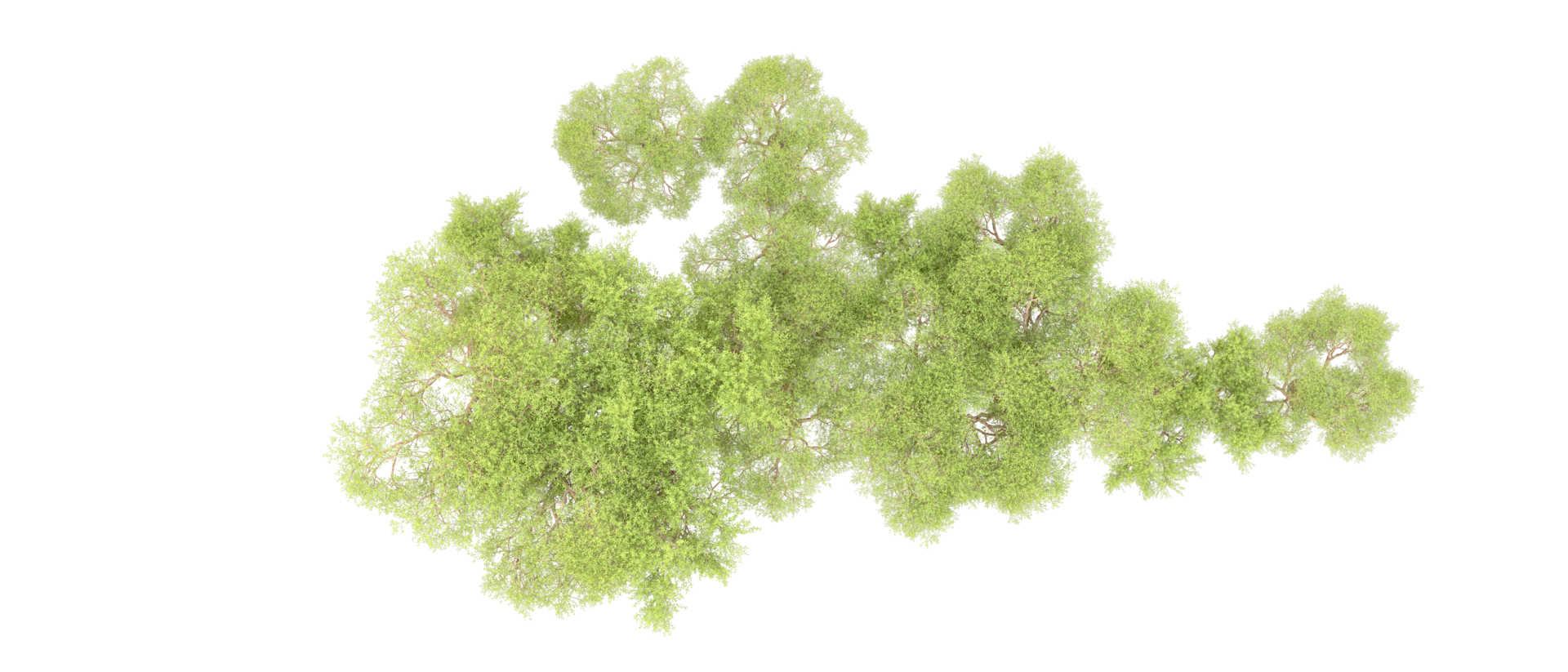 Green forest isolated on background. 3d rendering - illustration png