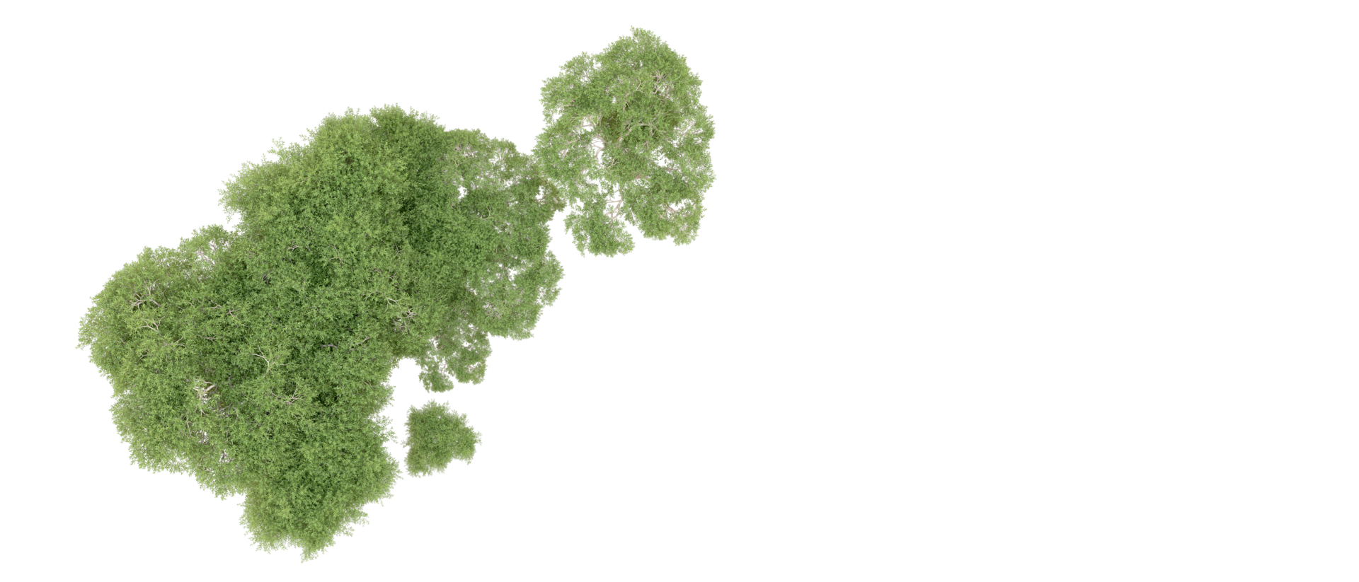 Green forest isolated on background. 3d rendering - illustration png
