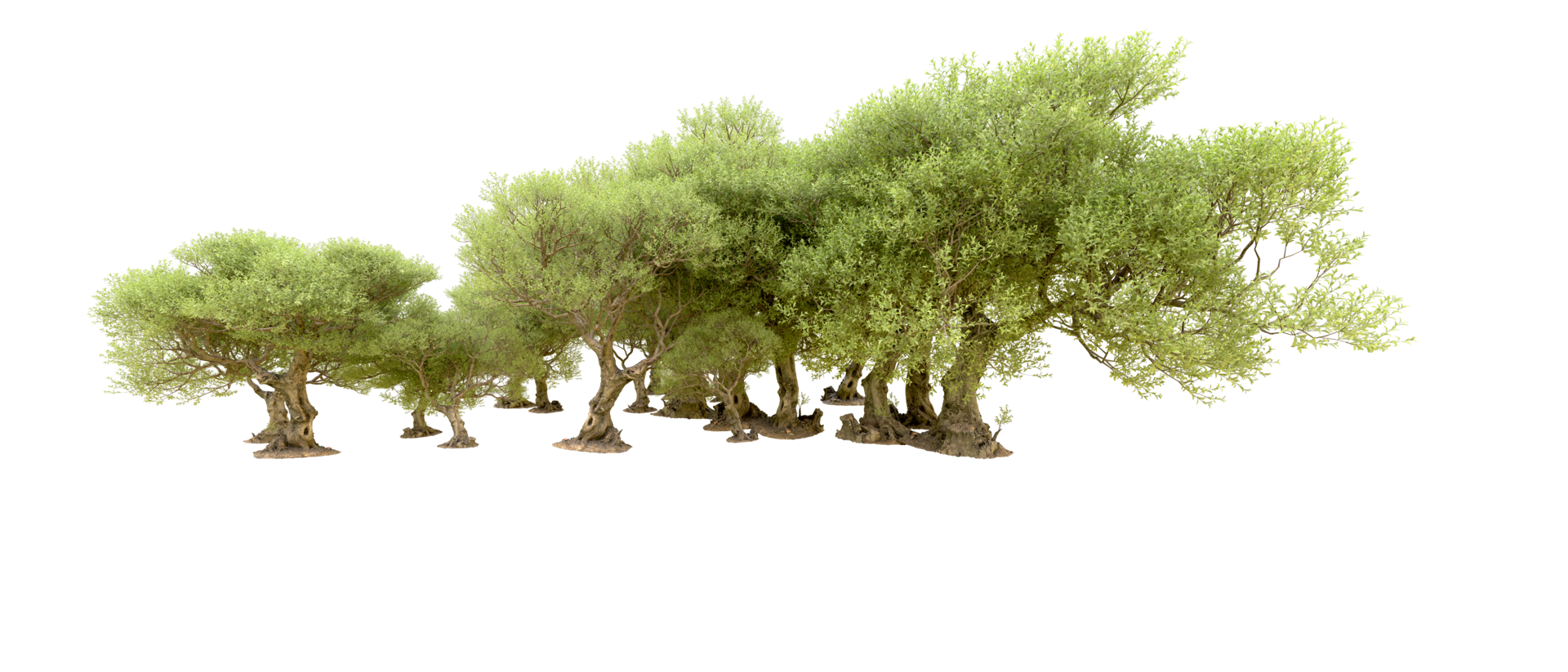 Grün Wald isoliert auf Hintergrund. 3d Rendern - - Illustration png