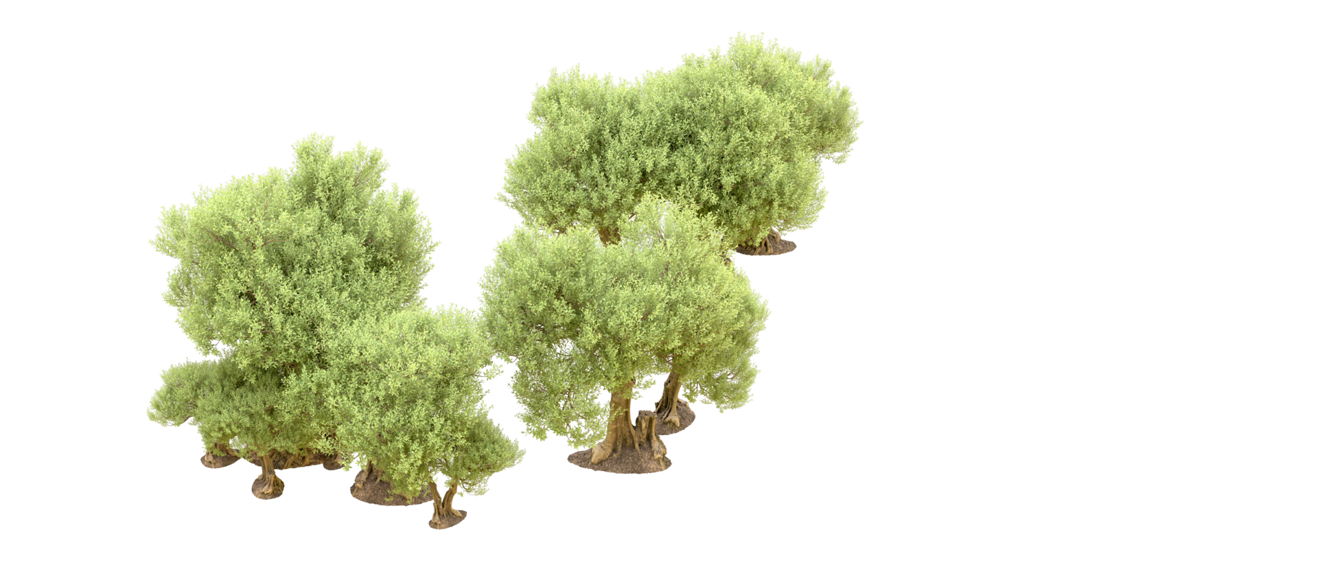 Green forest isolated on background. 3d rendering - illustration png
