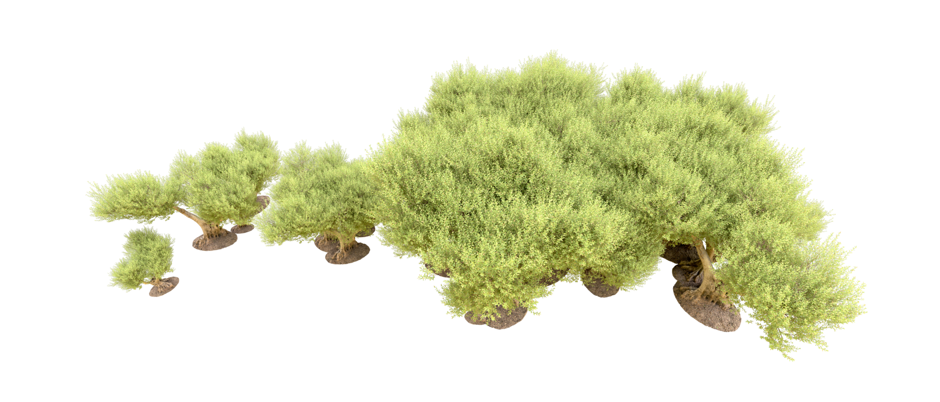 Green forest isolated on background. 3d rendering - illustration png