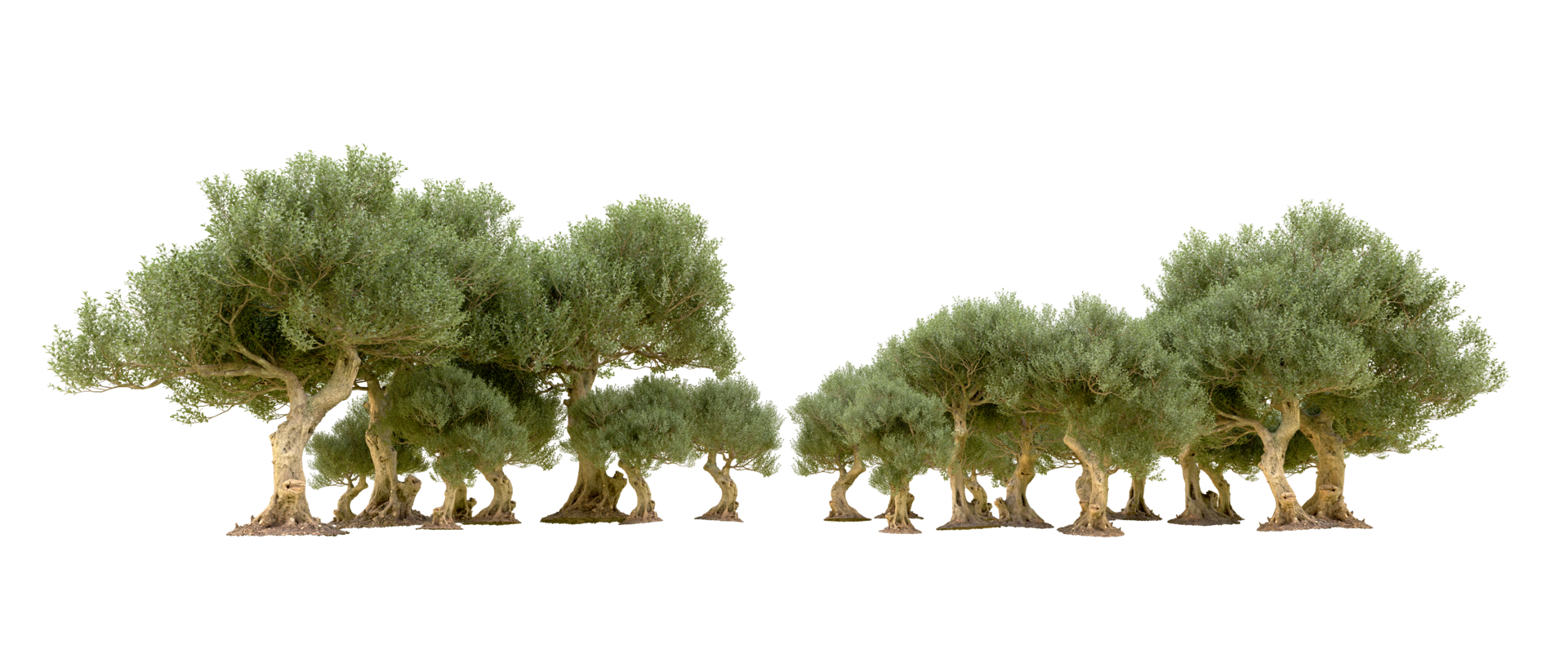 Grün Wald isoliert auf Hintergrund. 3d Rendern - - Illustration png