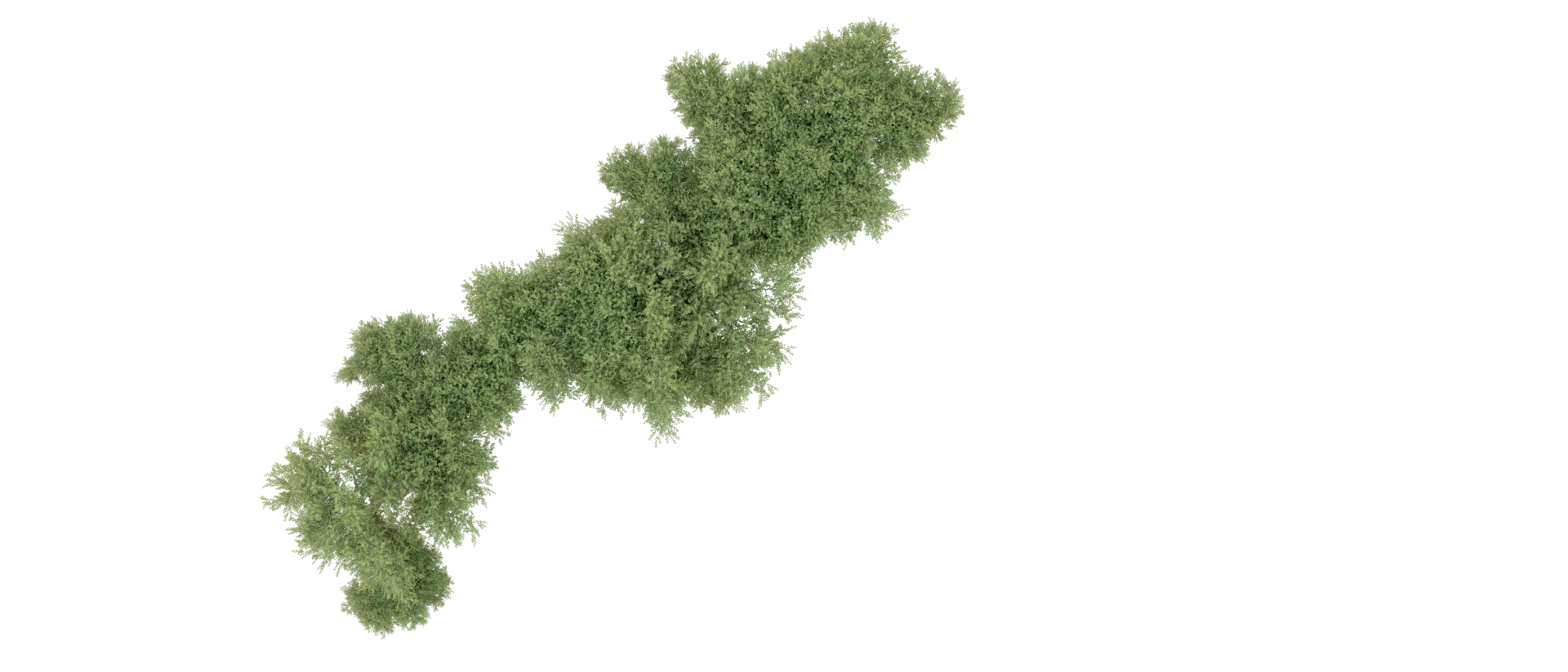 Green forest isolated on background. 3d rendering - illustration png