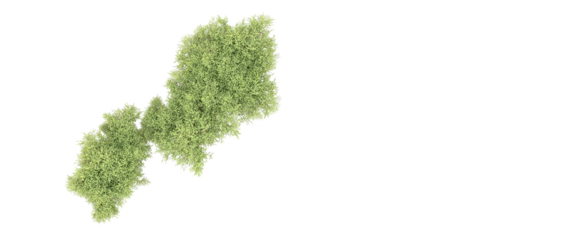 Green forest isolated on background. 3d rendering - illustration png