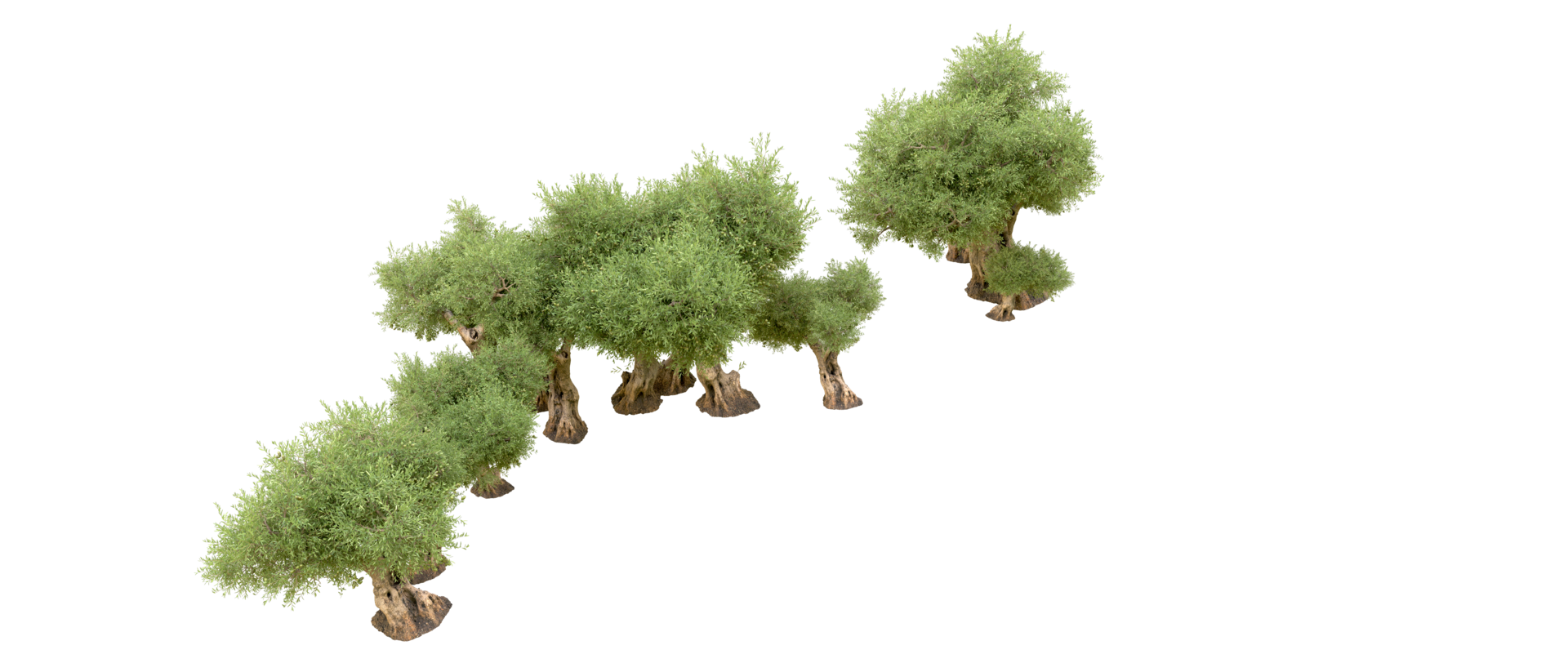 Green forest isolated on background. 3d rendering - illustration png