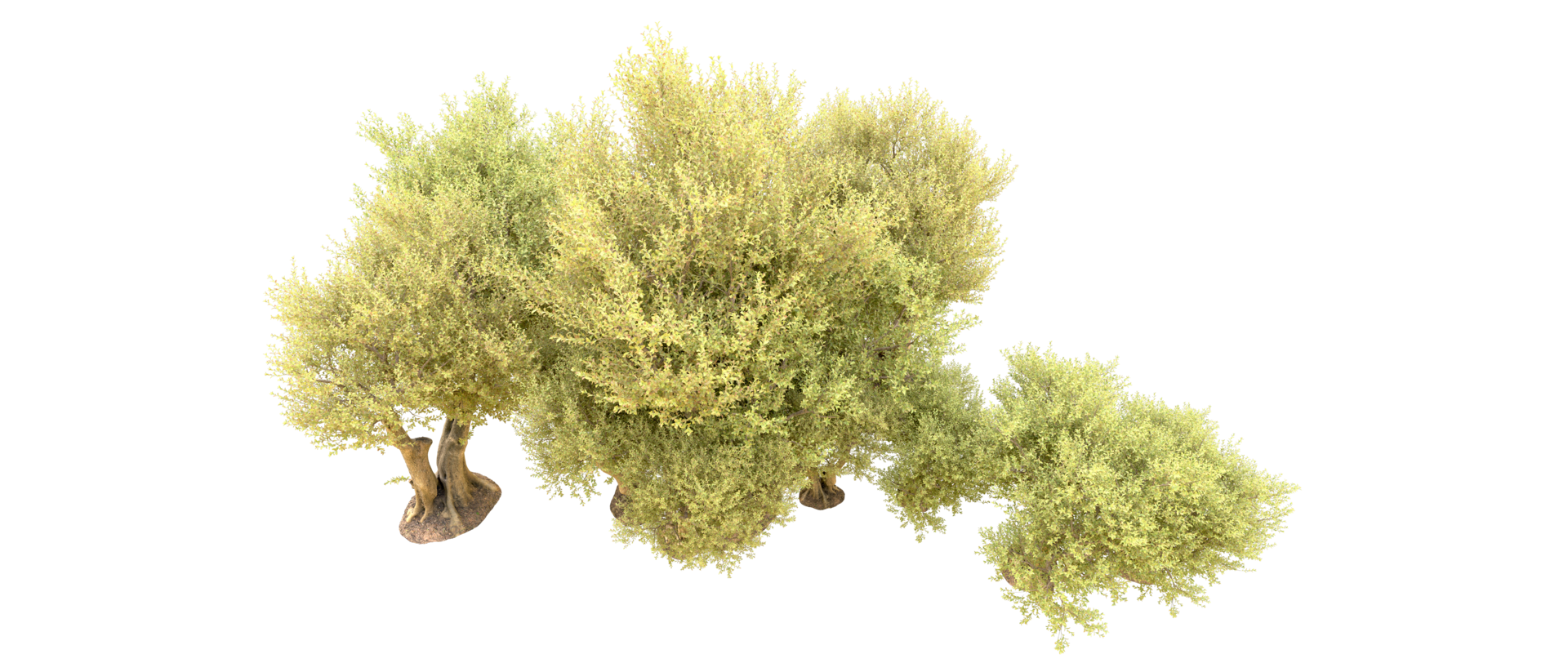 Green forest isolated on background. 3d rendering - illustration png