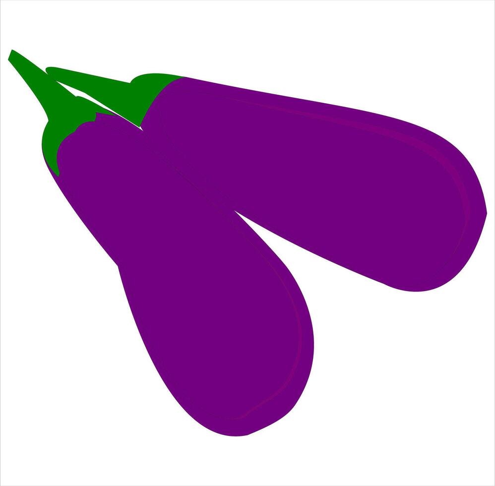 eggplant flat design vector