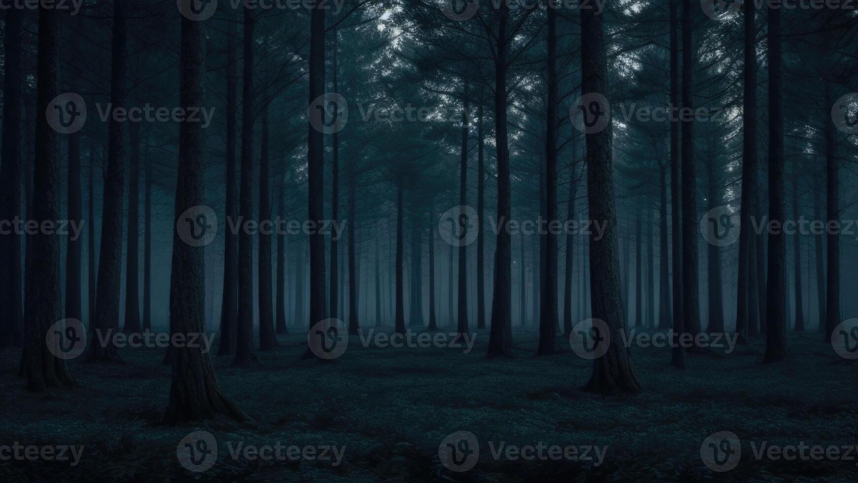 otoño oscuro árbol bosque panorama paisaje foto