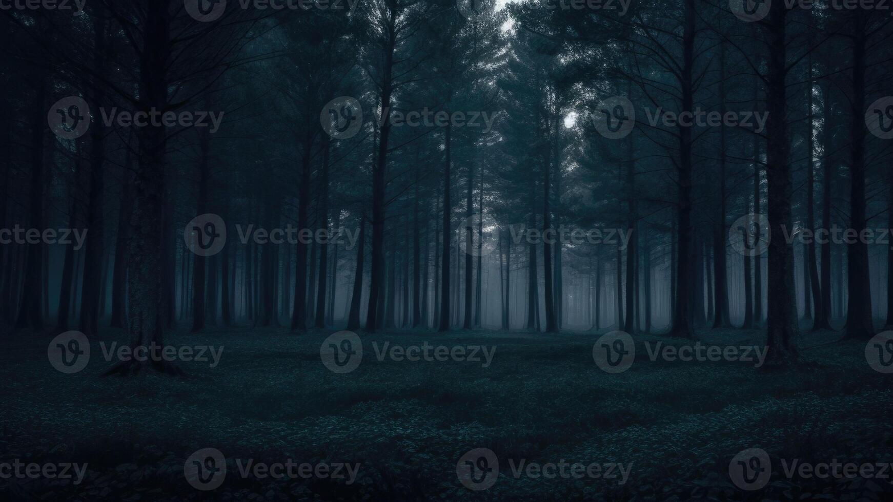 Autumn dark tree forest panorama landscape photo