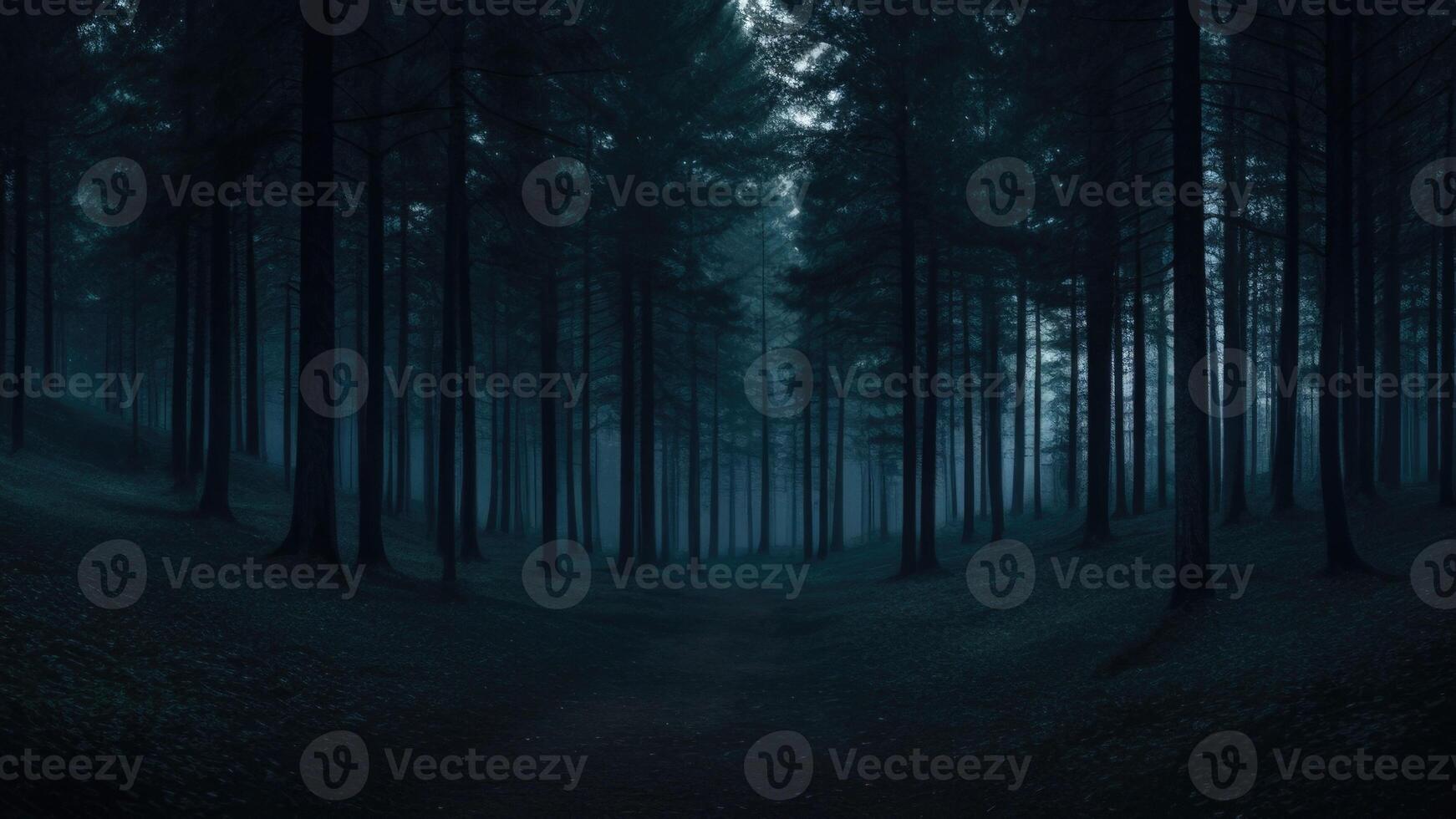 Autumn dark tree forest panorama landscape photo