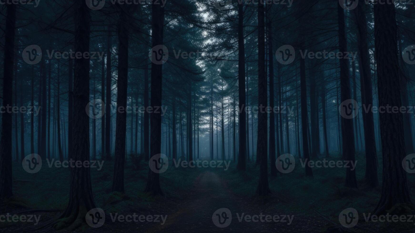 Autumn dark tree forest panorama landscape photo