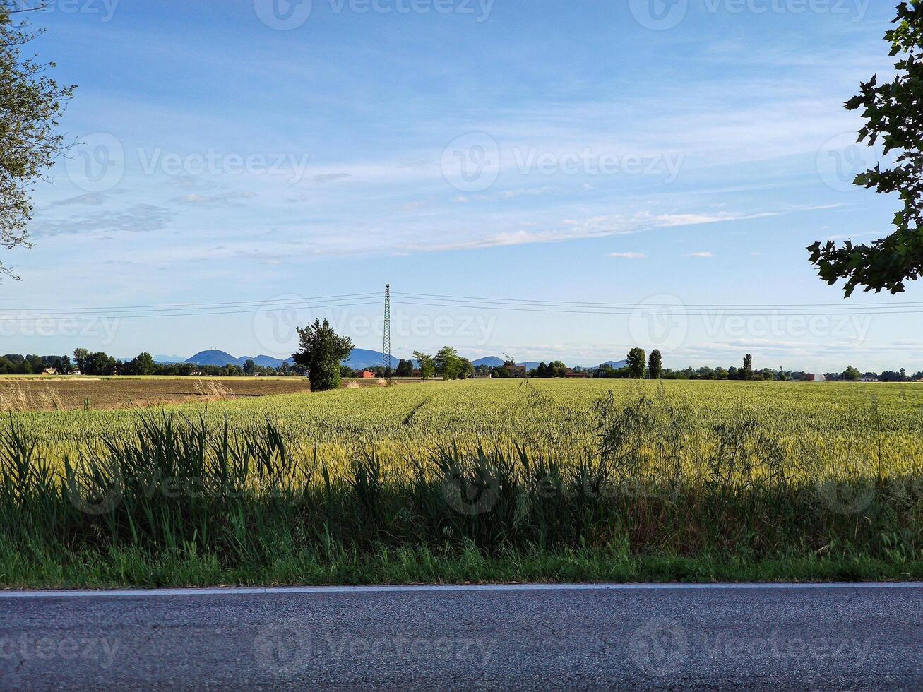 Agriculture field and street 2 photo