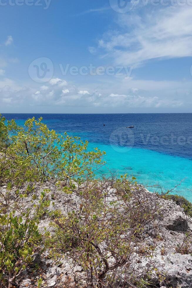 Turquoise ocean view from rocky cliff with vegetation. photo
