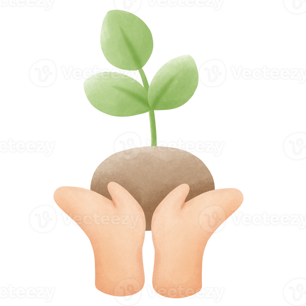 young plant with ground in hands png
