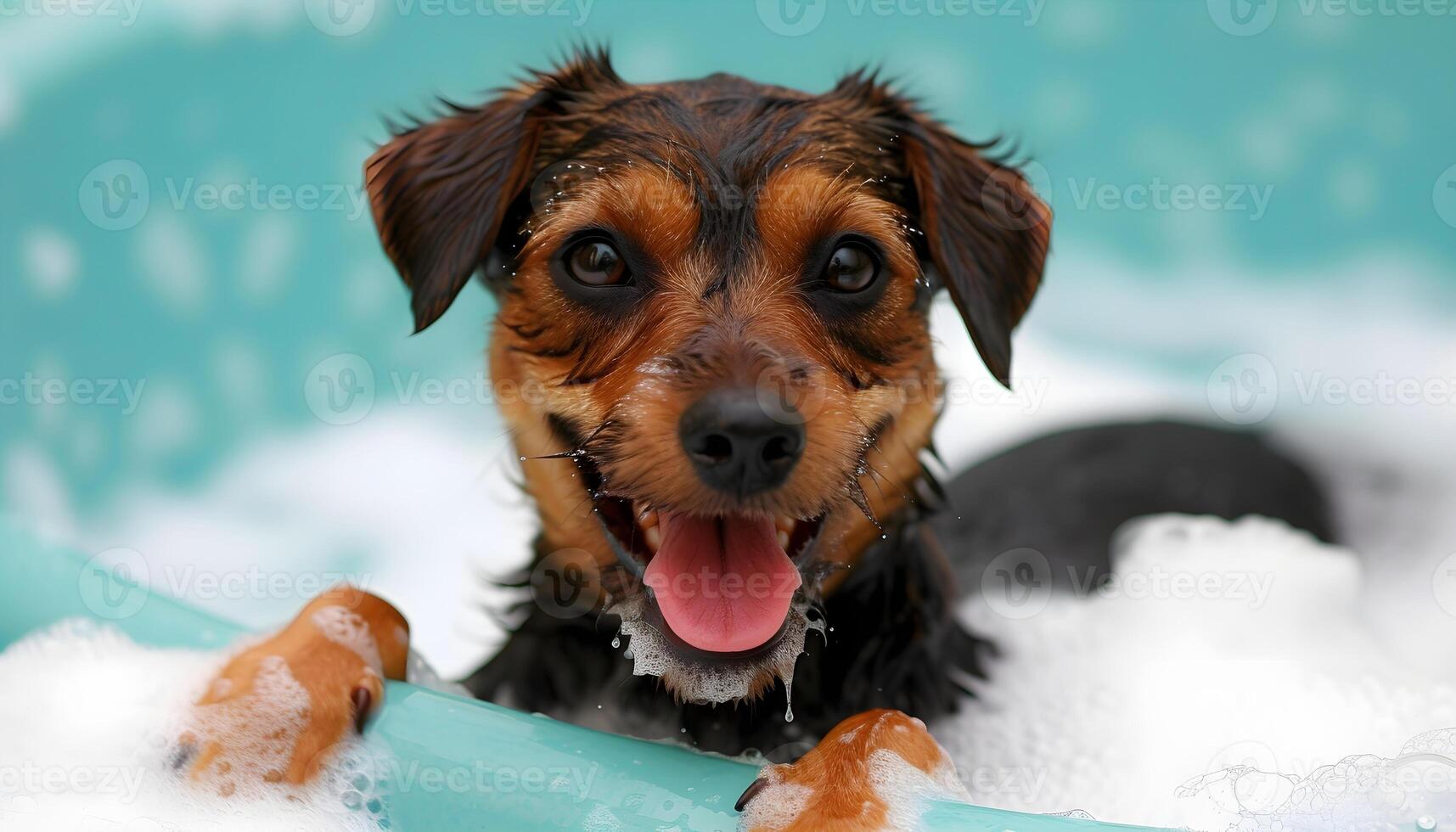 Funny dog taking a bath with soap foam. Portrait of a cute little wet dog. photo
