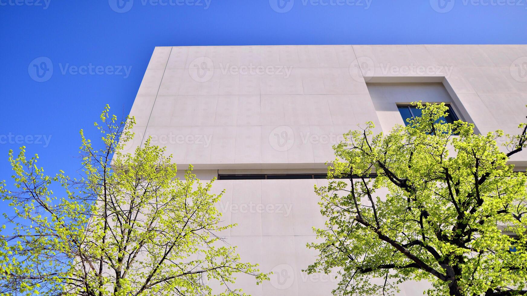 Modern white concrete building walls against blue sky. Eco architecture. Green trees and concrete office building. The harmony of nature and modernity. photo