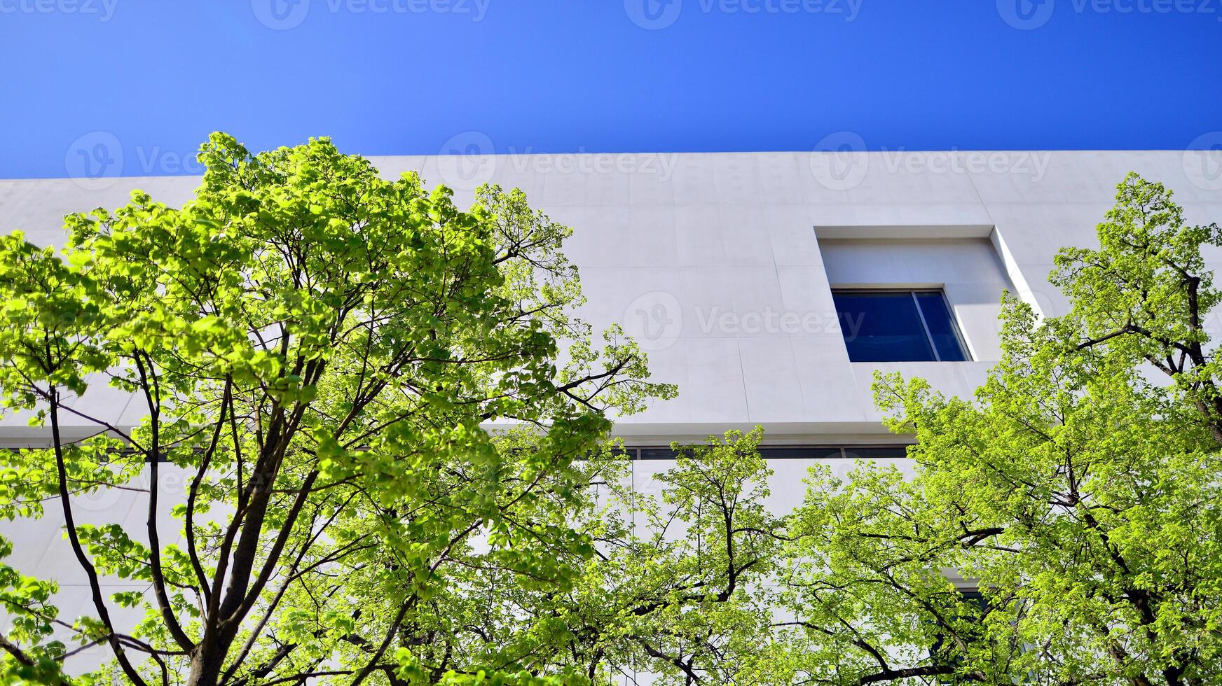 Modern white concrete building walls against blue sky. photo