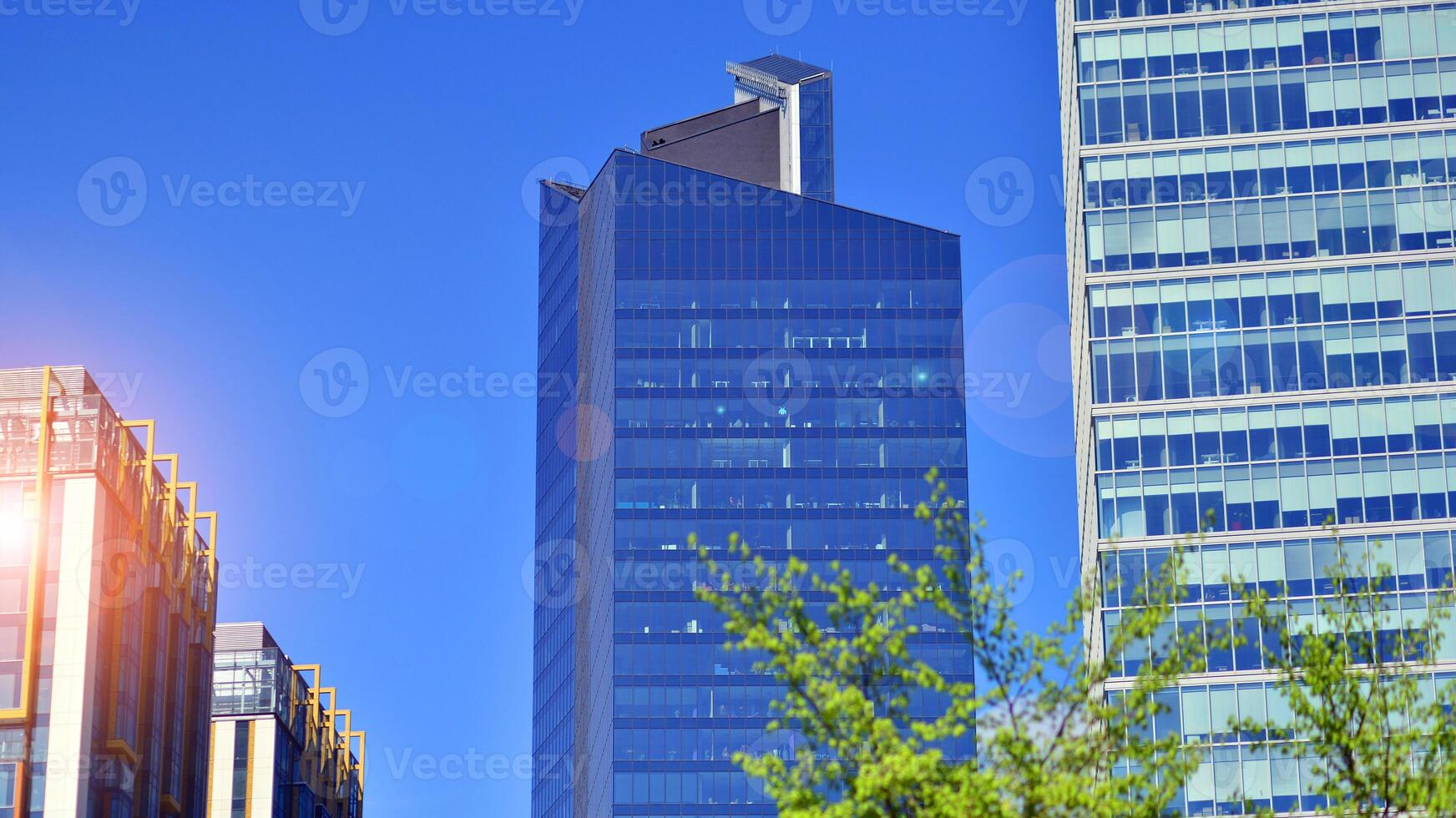 Eco building in modern city concept. Modern office building with the fresh green leaves. photo