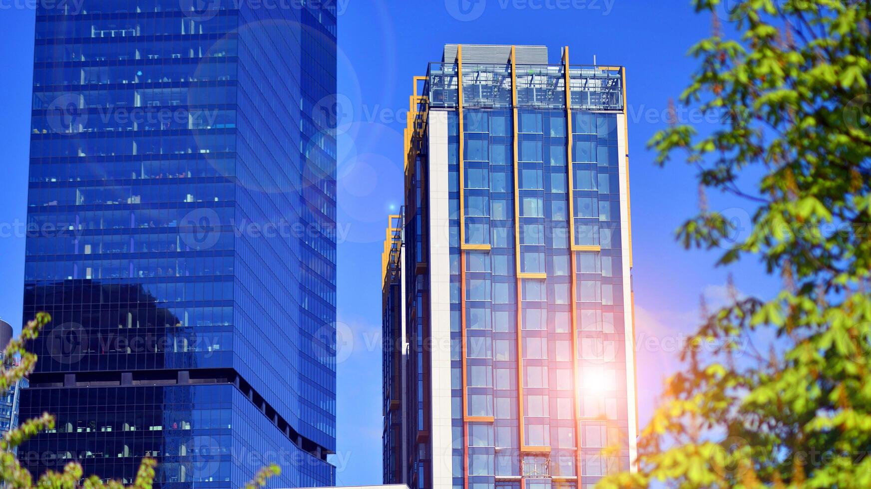 Eco building in modern city concept. Modern office building with the fresh green leaves. photo