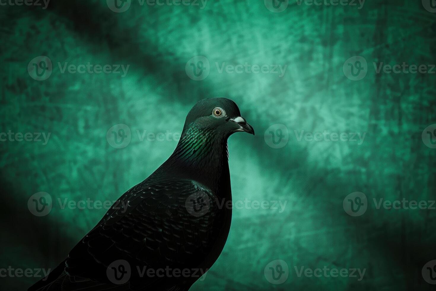 A dark green pigeon with a hint of iridescence on its feathers is set against a deep green background. photo