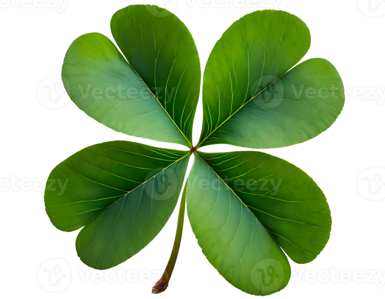 Realistic four leaf clover png