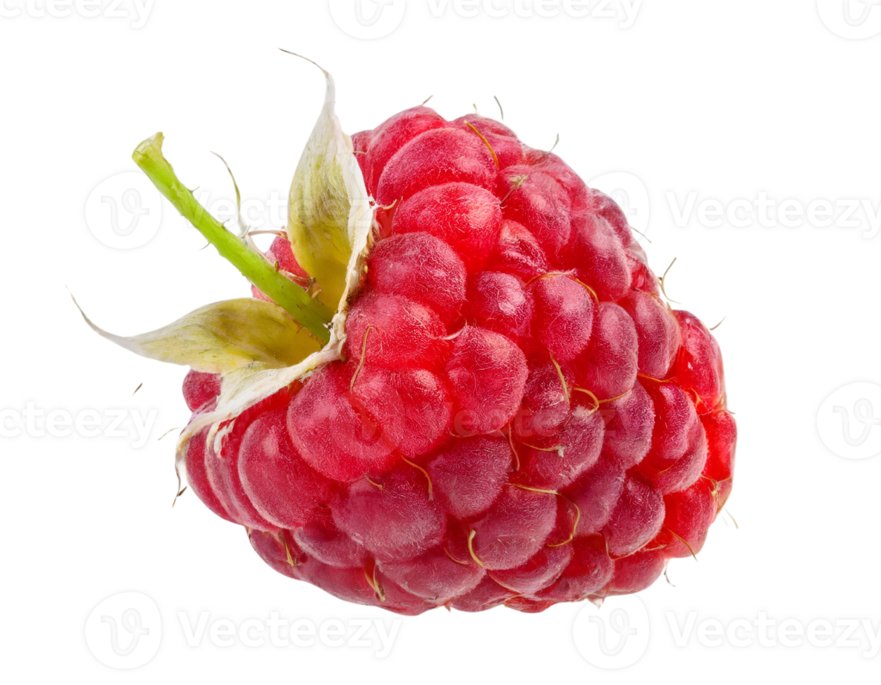 Red fresh raspberry png