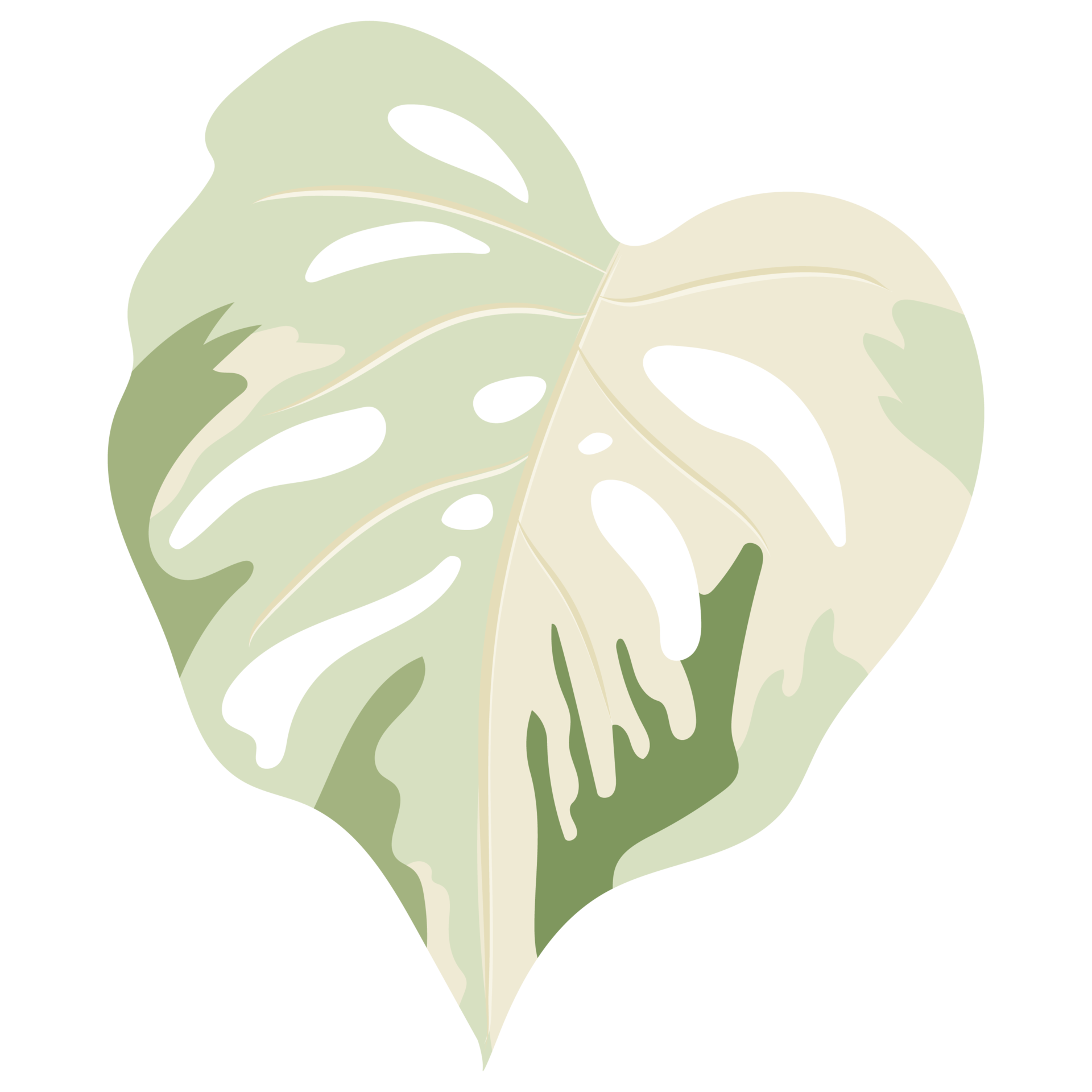 A monstera leaf in two tone color on background 44837539 png