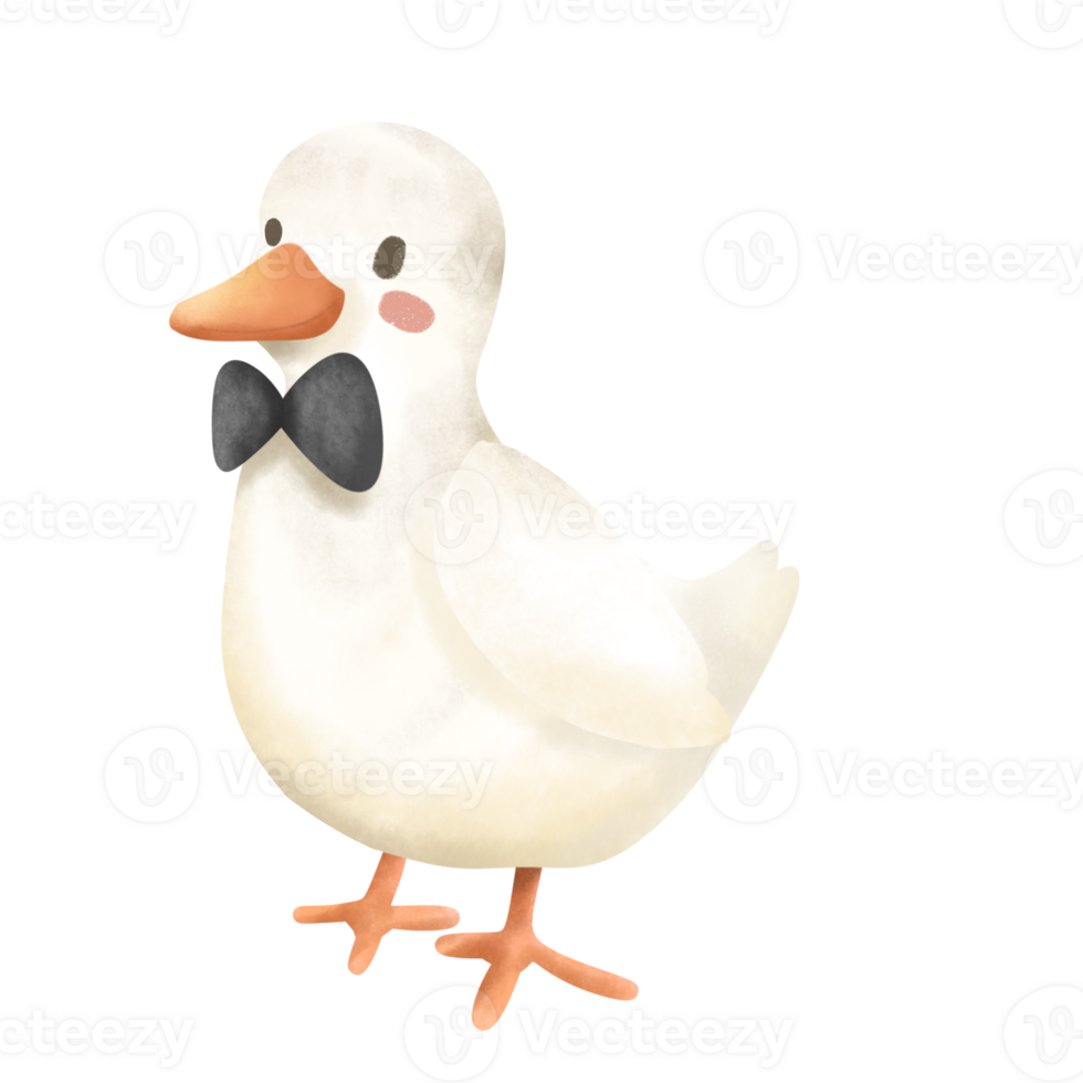 Duck with a black bow tied around its neck png