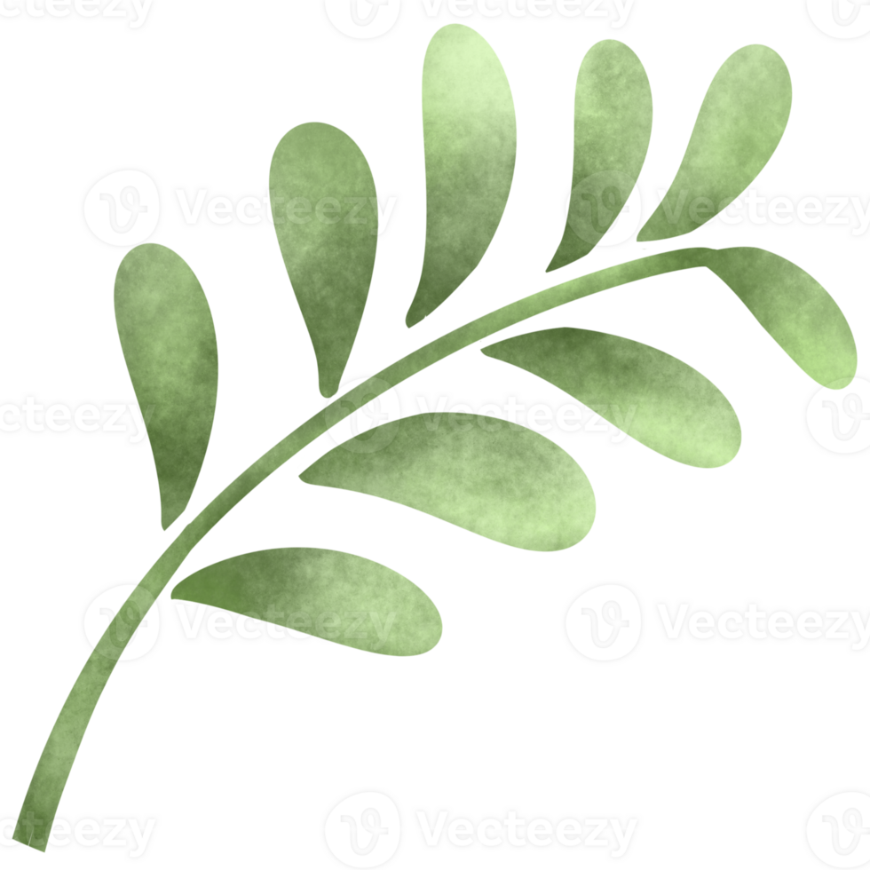 Leaves of trees and plants png