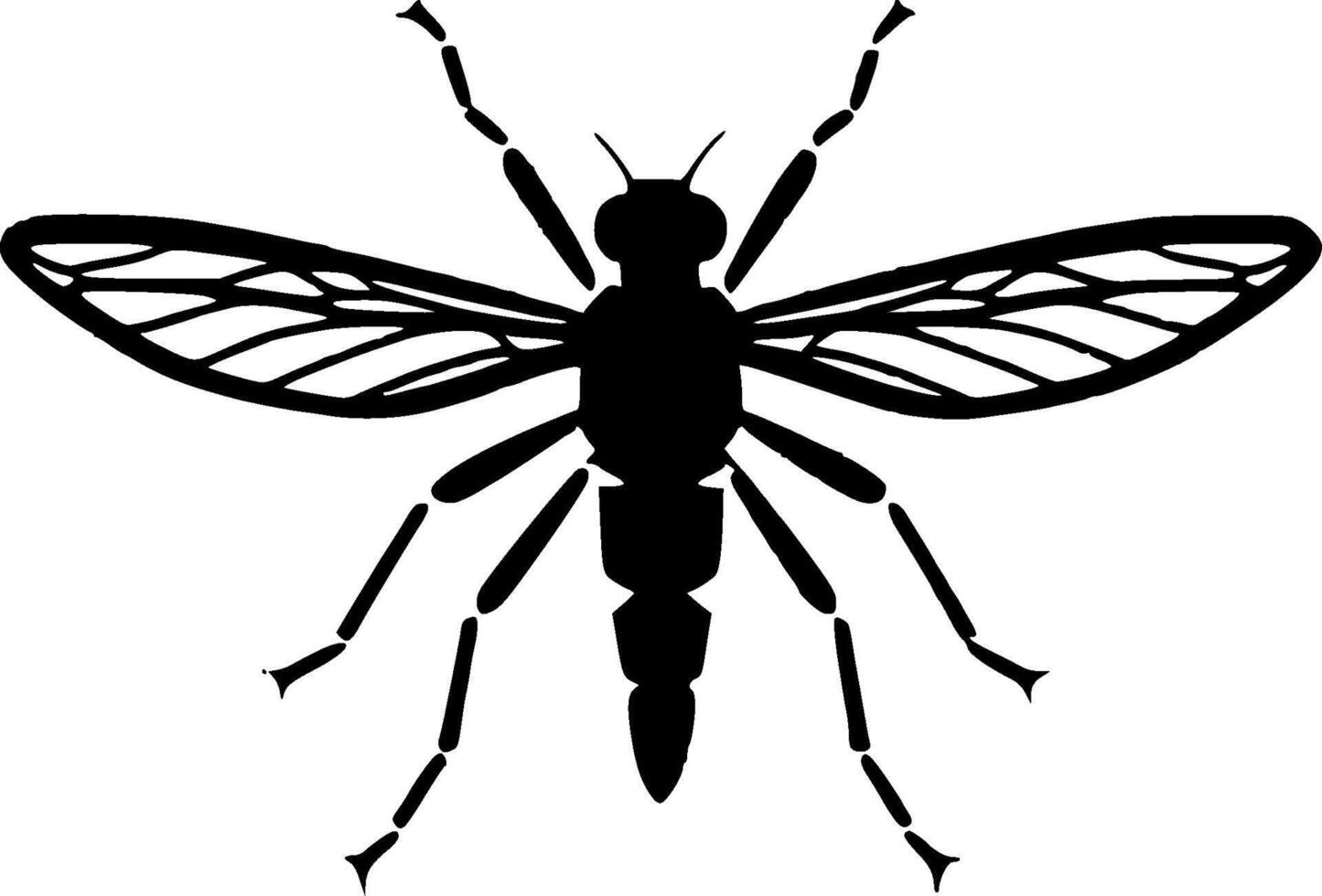Mosquito - Black and White Isolated Icon - illustration vector