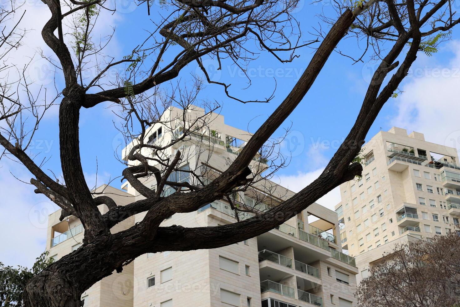Buildings and structures in Tel Aviv against the background of branches and leaves of tall trees. photo