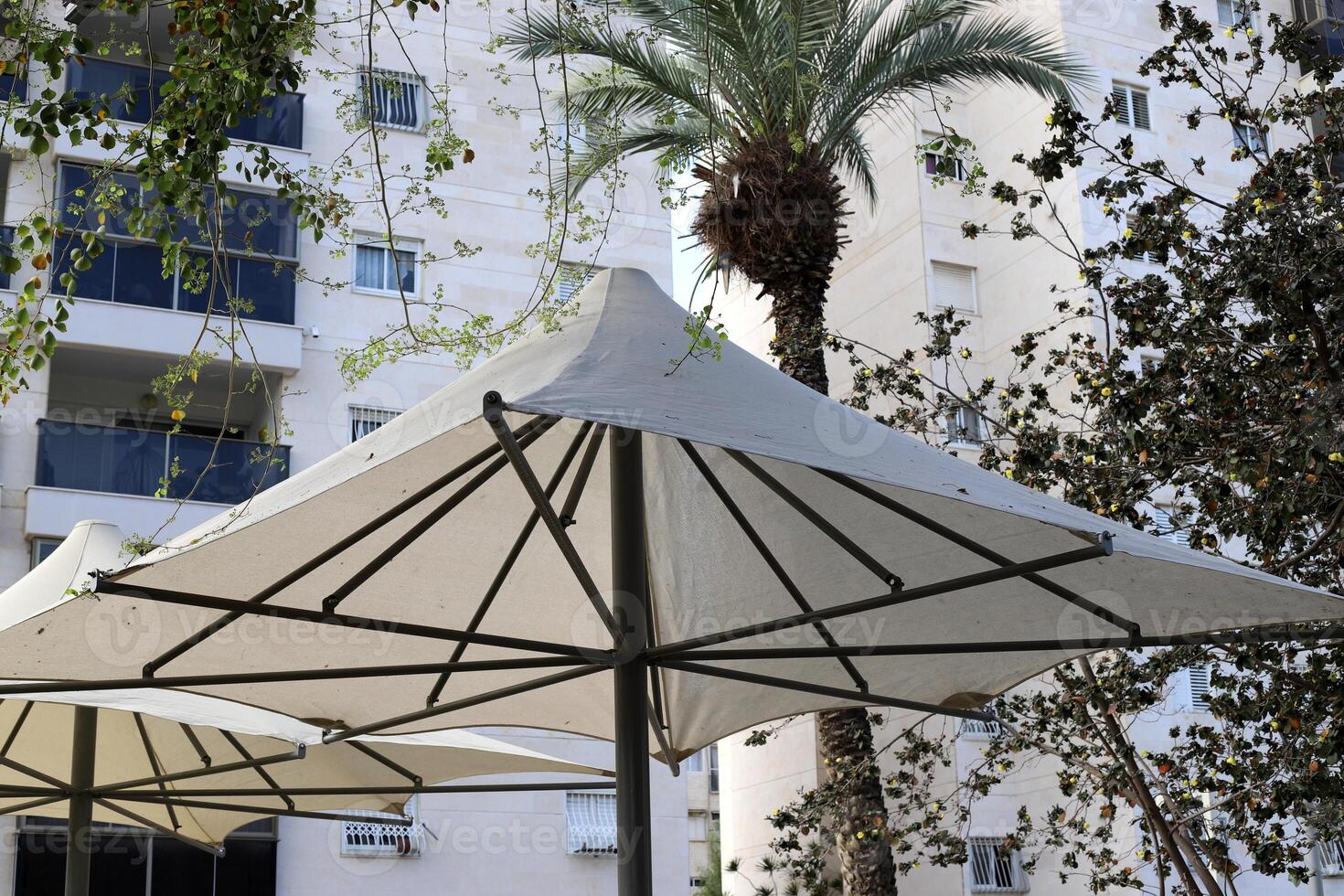 Buildings and structures in Tel Aviv against the background of branches and leaves of tall trees. photo