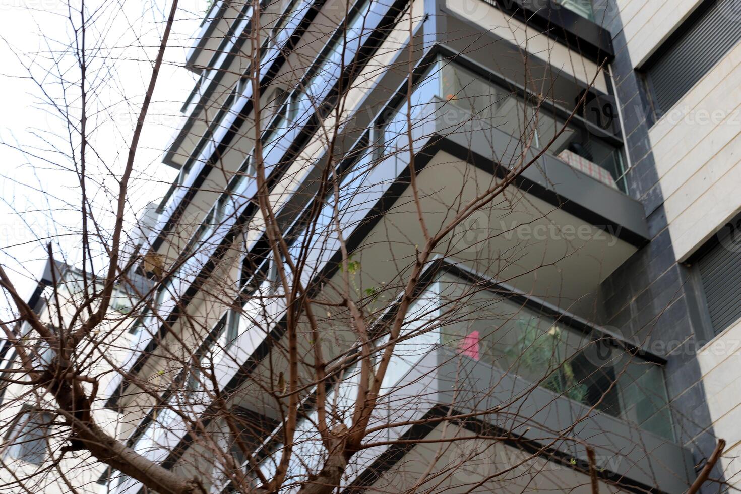 Buildings and structures in Tel Aviv against the background of branches and leaves of tall trees. photo