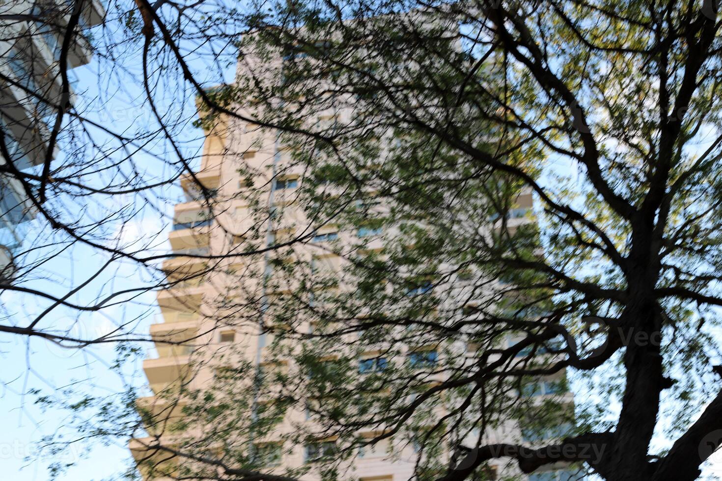 Buildings and structures in Tel Aviv against the background of branches and leaves of tall trees. photo