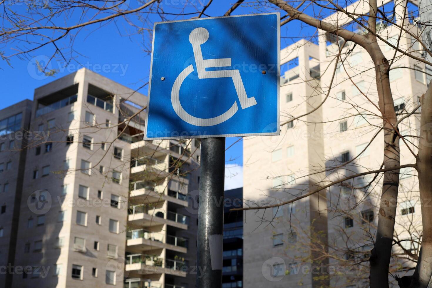 Buildings and structures in Tel Aviv against the background of branches and leaves of tall trees. photo