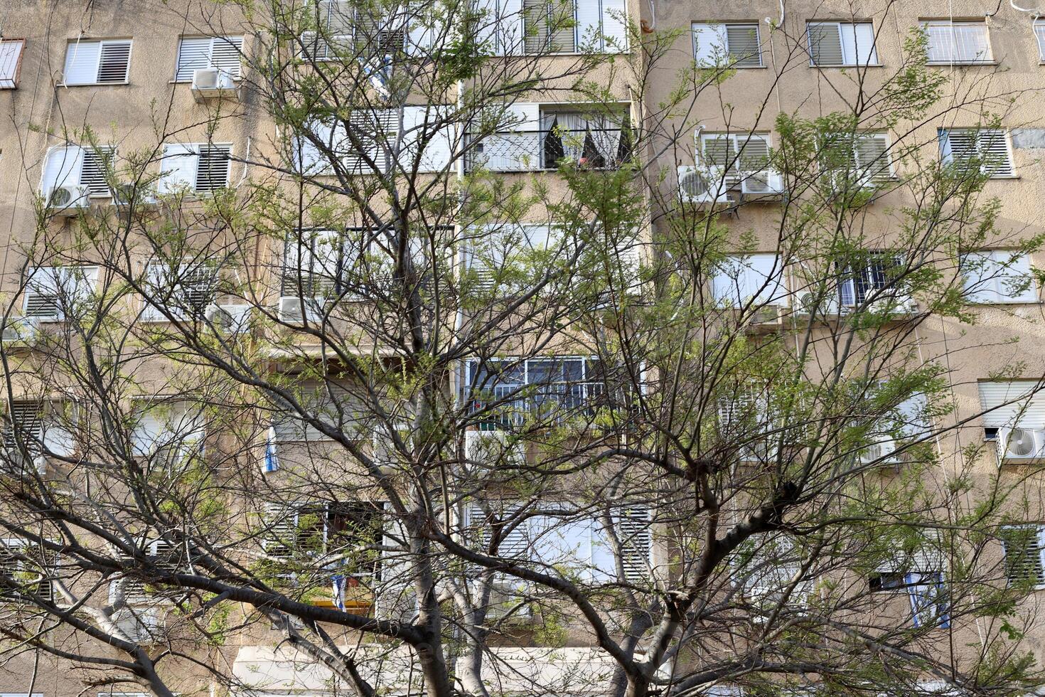 Buildings and structures in Tel Aviv against the background of branches and leaves of tall trees. photo