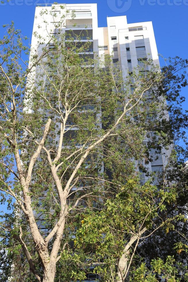 Buildings and structures in Tel Aviv against the background of branches and leaves of tall trees. photo