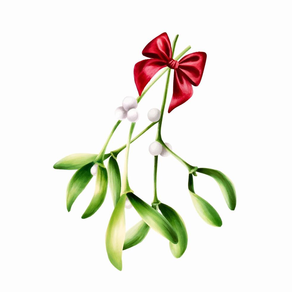 Watercolor christmas green mistletoe with red satin bow. New year botanical illustration of kissing symbol isolated on white background. For designers, decoration, shop, for postcards, wrapping paper vector