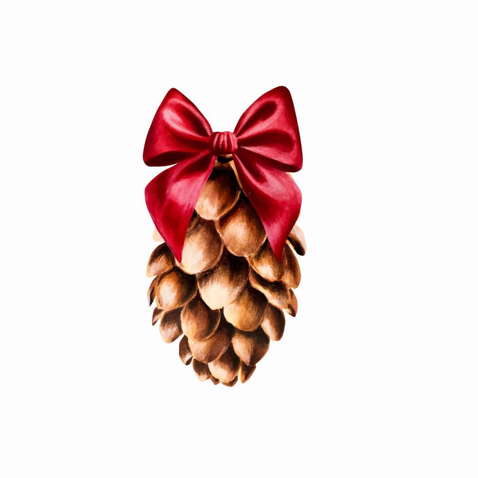 Watercolor hand drawn cone with red satin bow. New year botanical illustration of pine, spruce, cedar, fir and larch cone isolated on white background. For desig vector