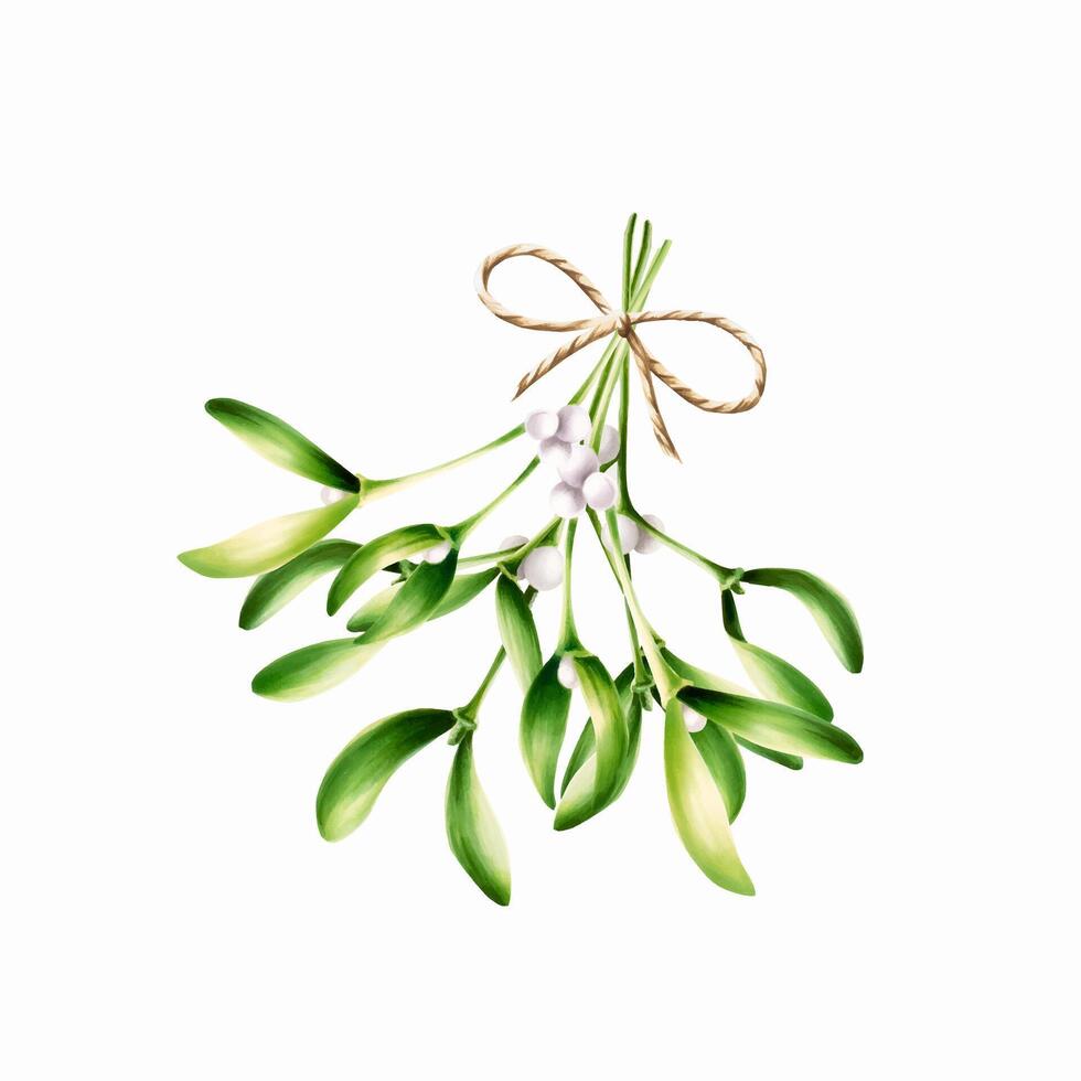 Watercolor christmas green mistletoe with twine bow. New year botanical illustration of kissing symbol isolated on white background. For designers, decoration, shop, for postcards, wrapping p vector